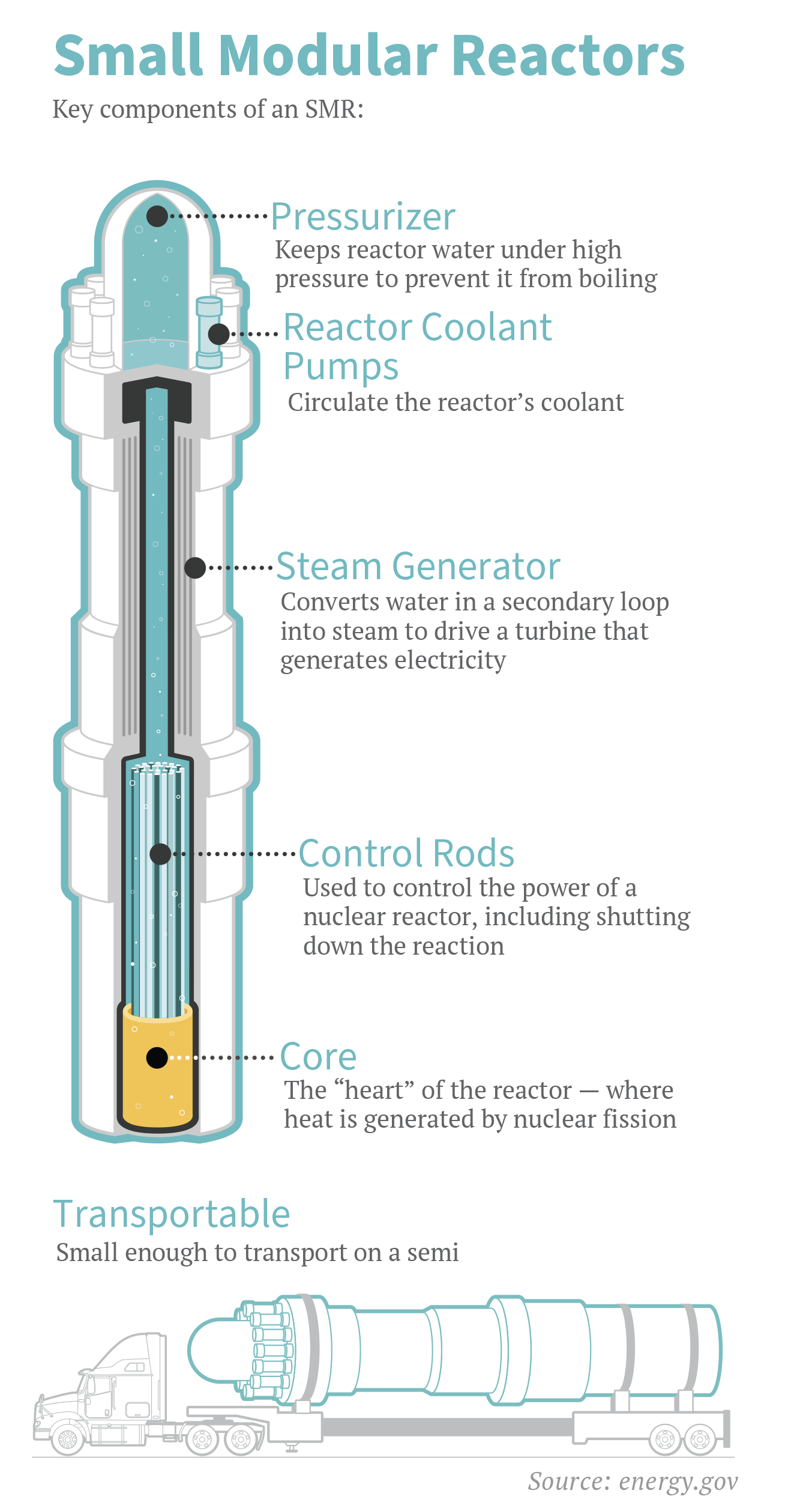 micro-reactor