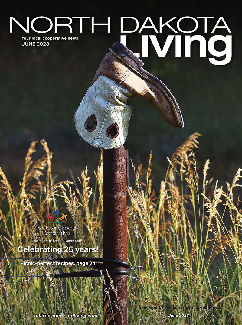 June ND Living cover