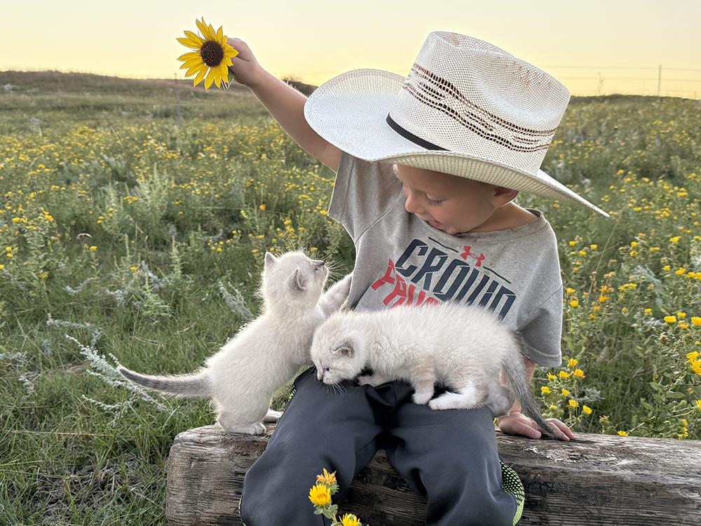 FOLKS THAT CAN’T BE BEAT Honorable Mention