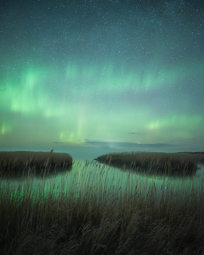 Land That We Loved category winner