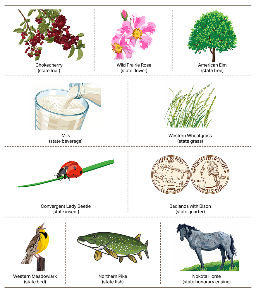 ND symbols graphics