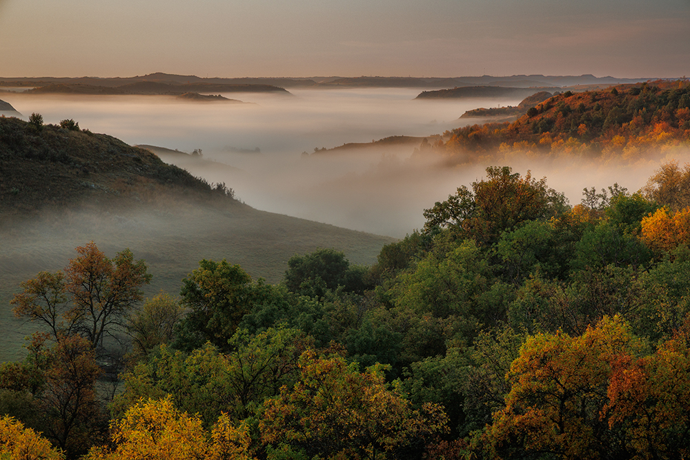 LAND THAT WE LOVE Honorable Mention