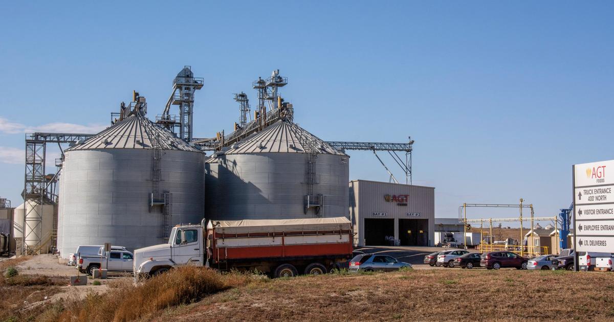 Pulse producers, like Paul Thomas, benefit from having local processors in their communities. The AGT Foods processing and milling facility in Minot, at right, is just a 35-mile drive from the Thomas farm and provides a local market for yellow pea producers. Photo by Verendrye Electric Cooperative/Tom Rafferty