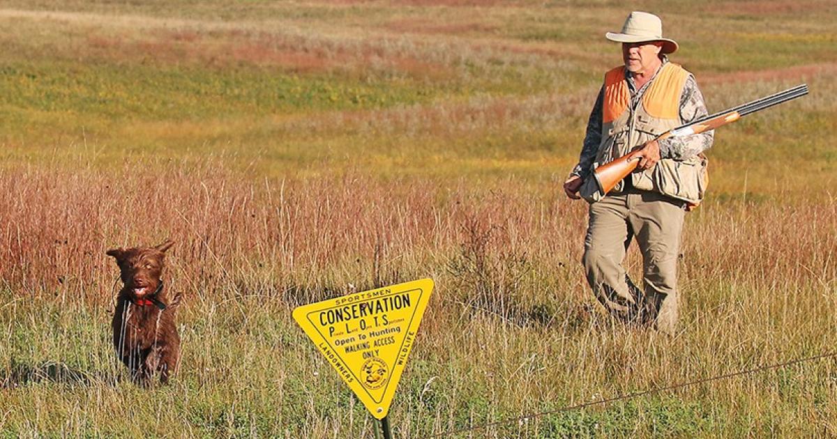 A man and his best hunting companion enjoy the beauty of a fall bird hunt.