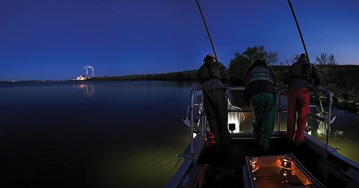 An onboard generator produces electricity that runs to the front of the boat. The electrical field produced goes down about 6 feet into the water. Fish are attracted to the electrical field and are temporarily stunned, allowing fisheries personnel to capture them with long-handled dip nets.