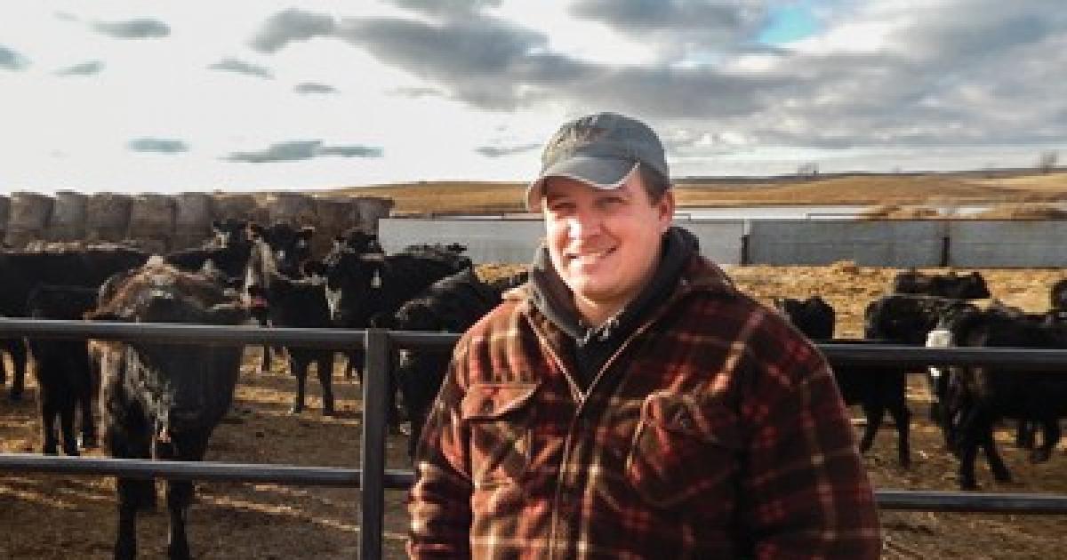 Photos above, immediate right: The 2017 experience for cattleman Mike Novak, and his herd near Minot, was marked by feed supplies buried in snows and later scarce because of drought