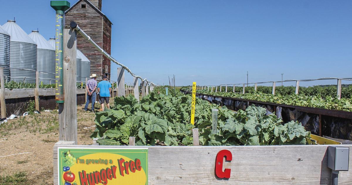 Food Pantry Garden