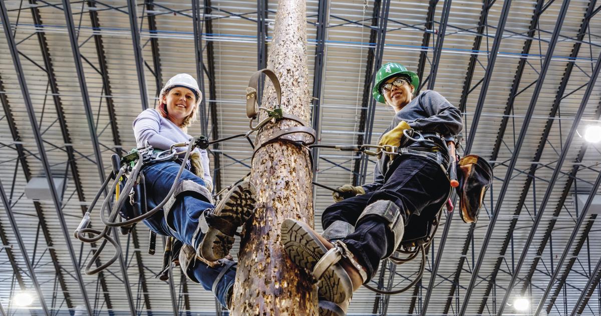 Linewomen