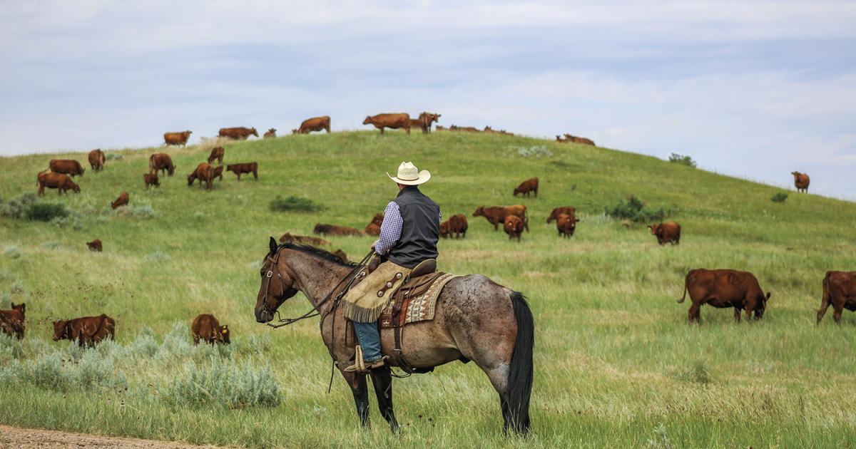 rancher