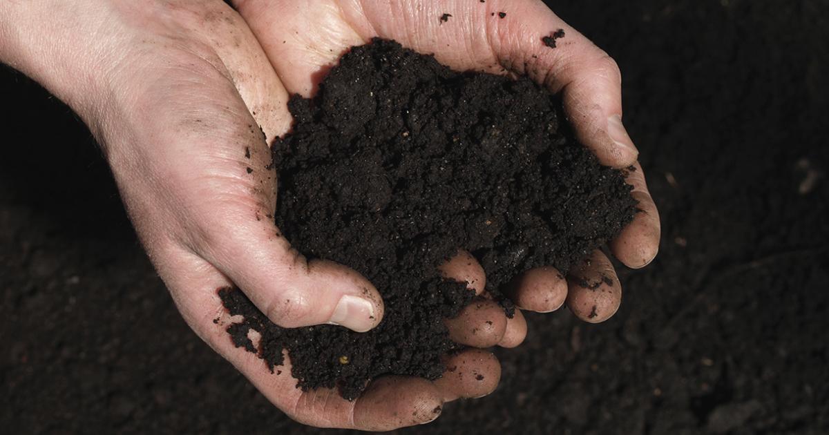 soil