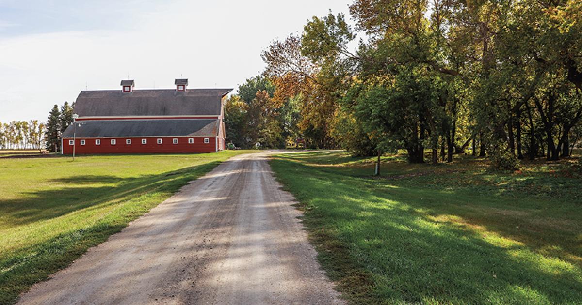 Father's Farm