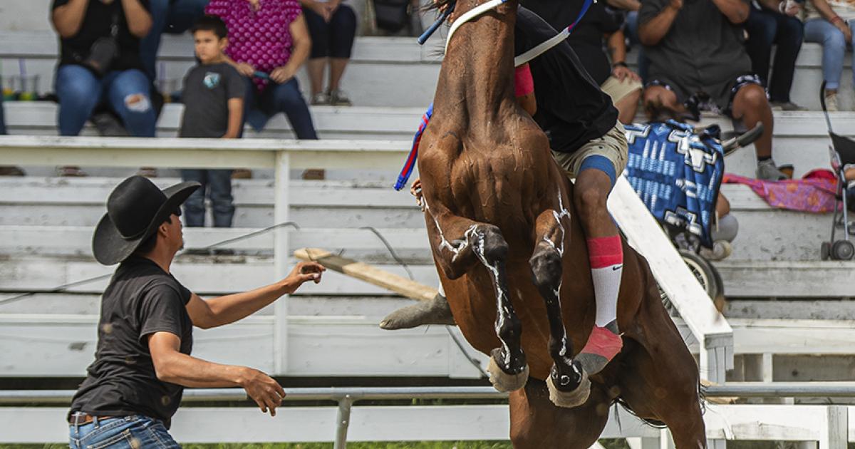 Horse relay revival