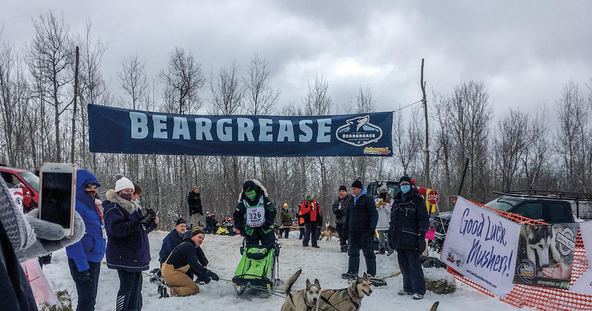 Beargrease race