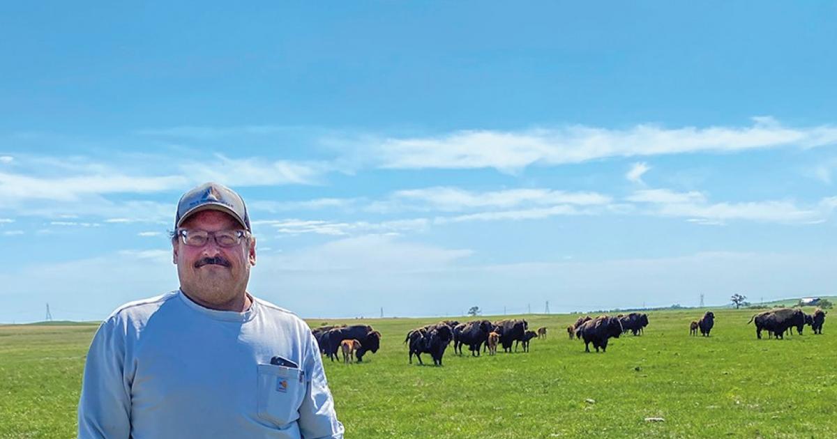 Indian Springs Bison owner Roy Krivoruchka and his family have raised bison near Belfield the past 30 years, expanding the ranch’s reach to the consumer with the opening of 701 Meats just a mile down the gravel road from the ranch.