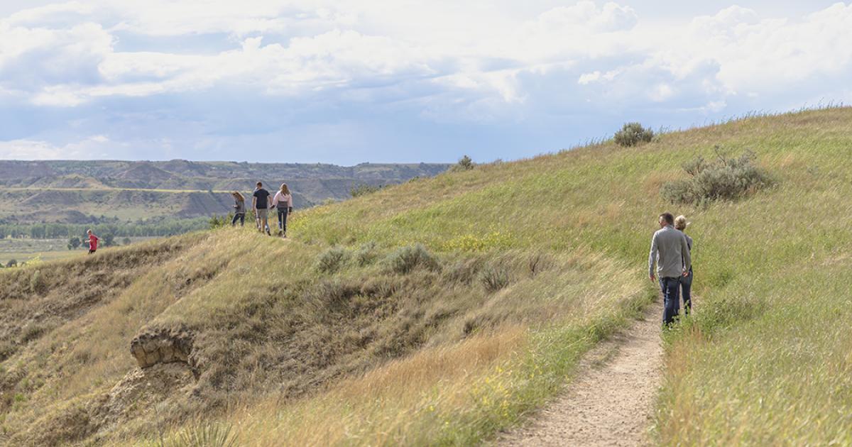 Theodore Roosevelt National Park
