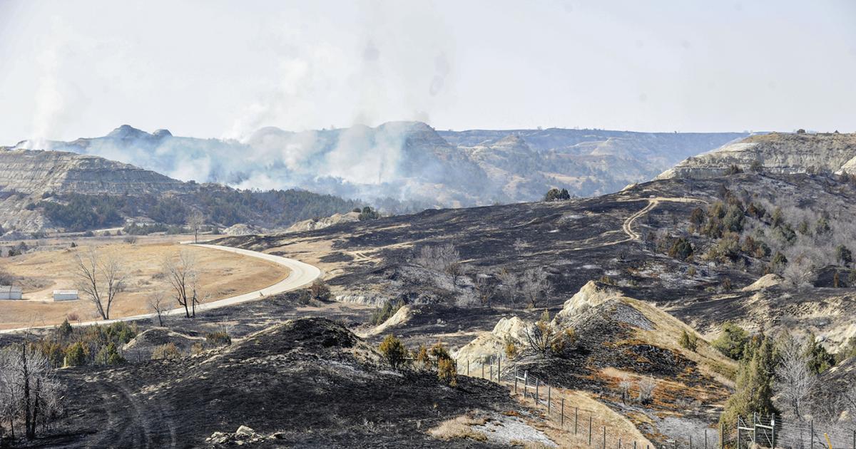 Local, state and federal agencies responded in April to the Horse Pasture Fire on the Little Missouri National Grassland, located just north of Theodore Roosevelt National Park – North Unit, that burned 5,000 acres. Extreme drought has exacerbated the fire threat in western North Dakota this year, where McKenzie County is experiencing its fifth driest year in 127 years. PHOTO COURTESY NEAL A. SHIPMAN/MCKENZIE COUNTY FARMER