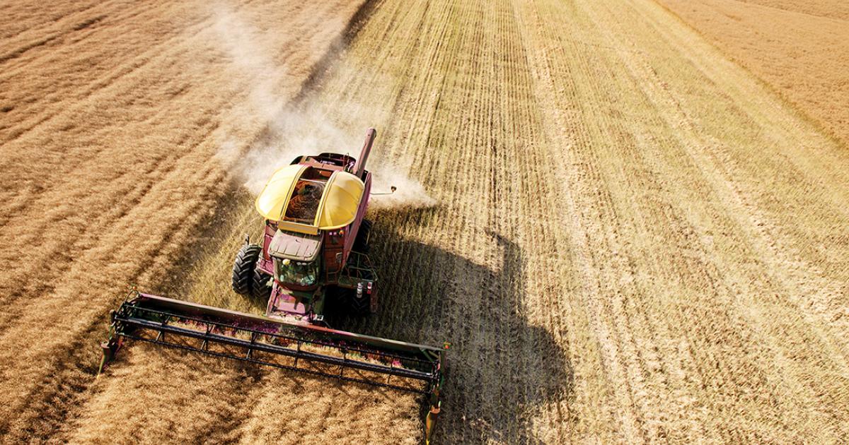 farming