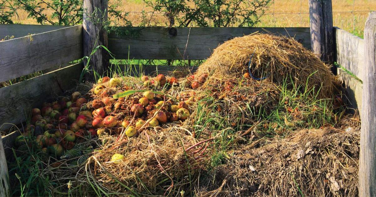 compost