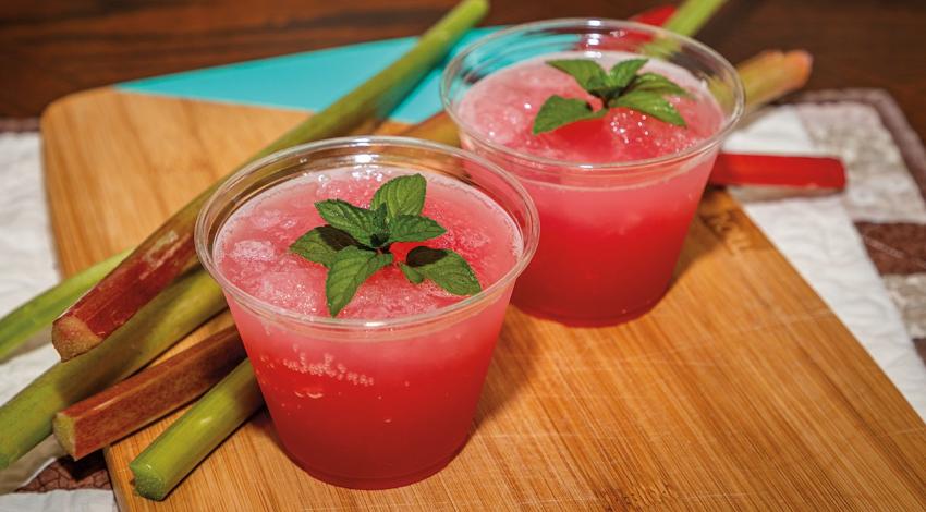 Rhubarb Slush