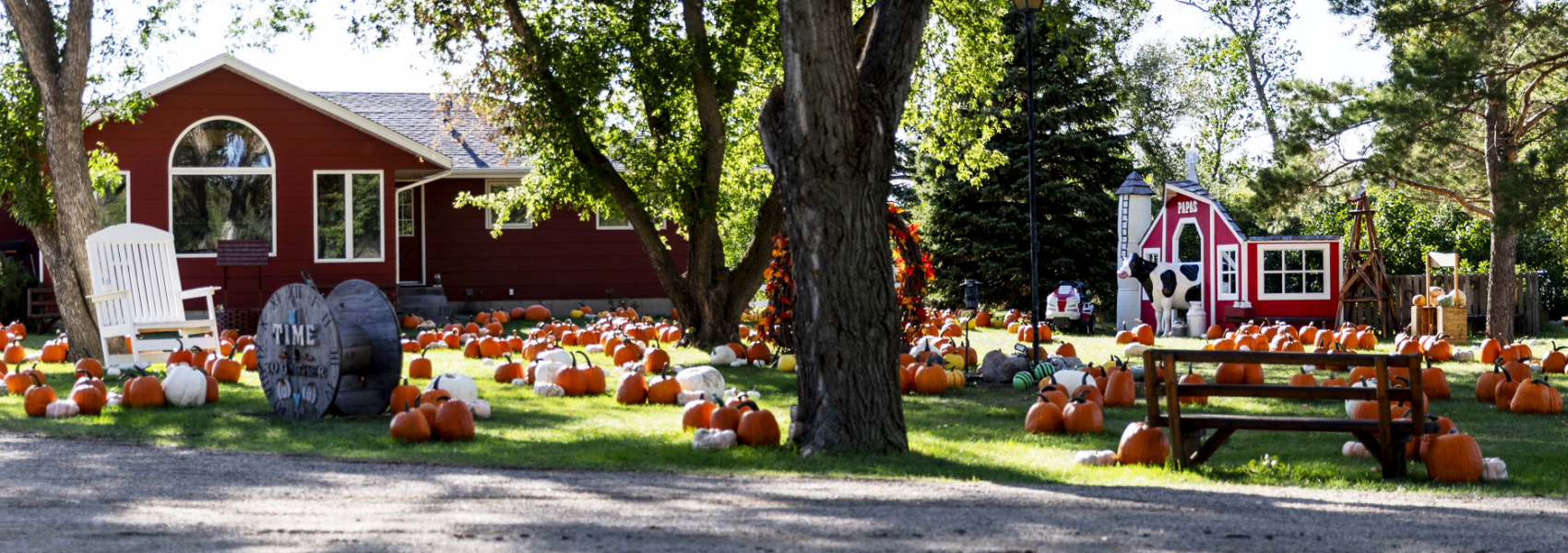 pap's pumpkin patch