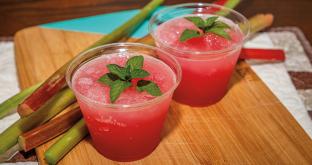 Rhubarb Slush