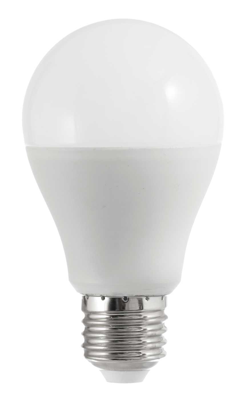 Bulb